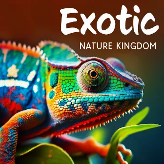 Exotic Nature Kingdom by Exotic Area Zen