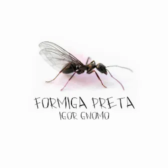 Formiga Preta by Igor Gnomo