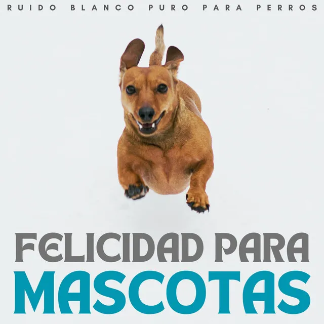 Felicidad De Mascotas: Ruido Blanco Puro Para Perros