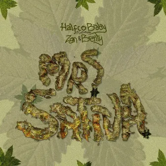 Mrs Sativa by Halfco Baby