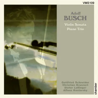 Busch: Violin Sonata & Trio by Gottfried Schneider