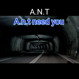 A.N.T Need You by A.N.T