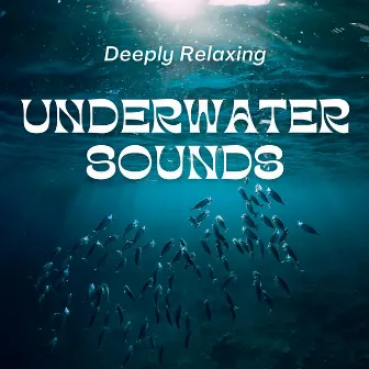 Deeply Relaxing Underwater Sounds by Underwater Sounds Channel