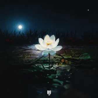 LOTUS by Modd