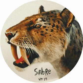 WT 19 by Sabre