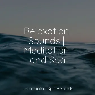 Relaxation Sounds | Meditation and Spa by Gentle Rain Makers