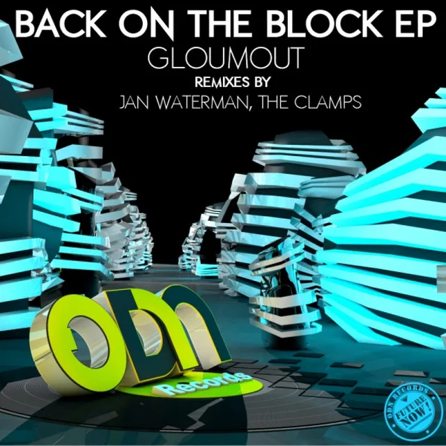 Back On The Block - Jan Waterman Remix