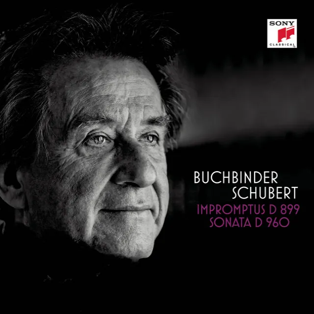 Impromptus, D 899, Op. 90: III. Andante