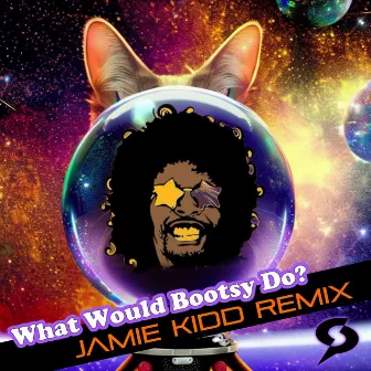 What Would Bootsy Do? (Remix) by Jamie Kidd