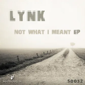 Not What I Meant Ep by Lynk