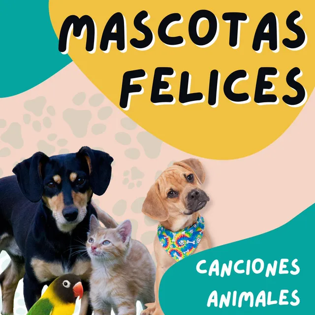 Mascotas Felices