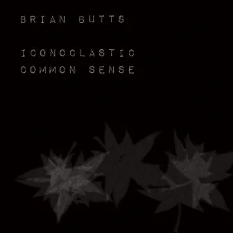 Iconoclastic Common Sense by Brian Butts