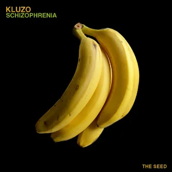 Schizophrenia by Kluzo