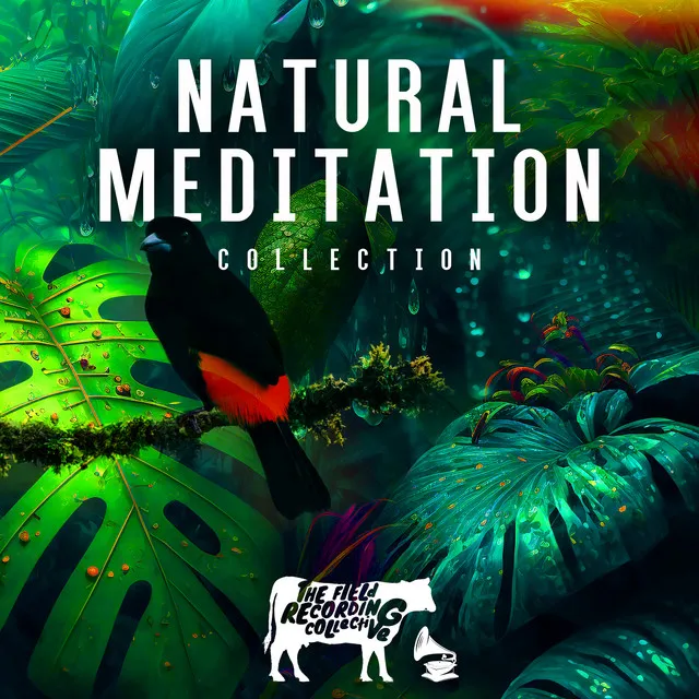 Natural Meditation Collection