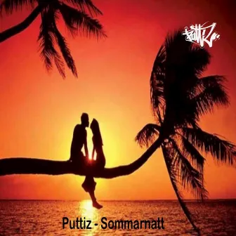 Sommarnatt by Puttiz