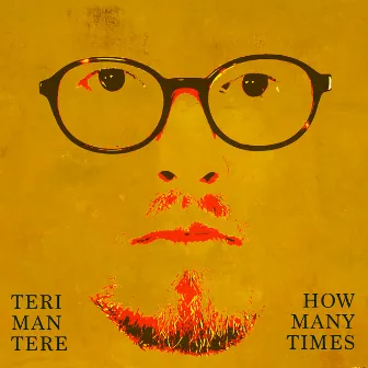 How Many Times by Teri Mantere