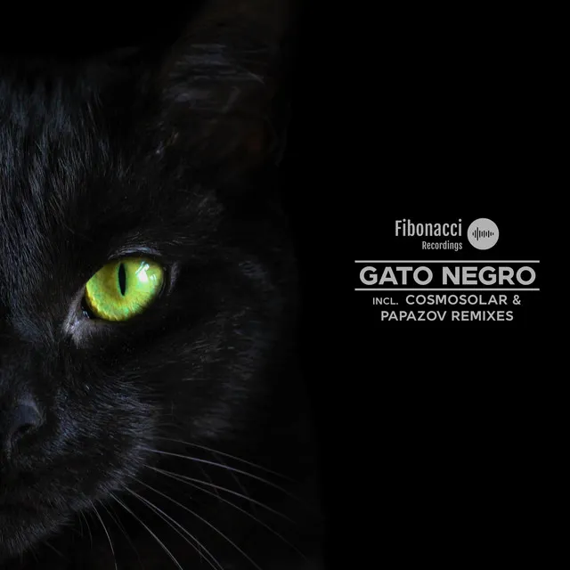 Gato Negro