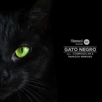 Gato Negro by Jay Perlestein