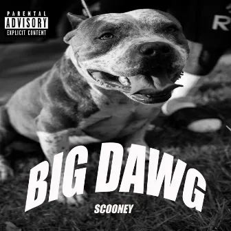 Big Dawg by Scooney