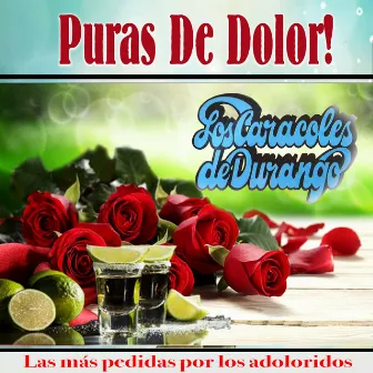 Puras De Dolor! by Los Caracoles De Durango