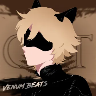 Rap do Cat Noir (Miraculous) by Venum Beats