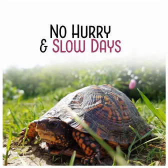 No Hurry & Slow Days by Chill Step Masters