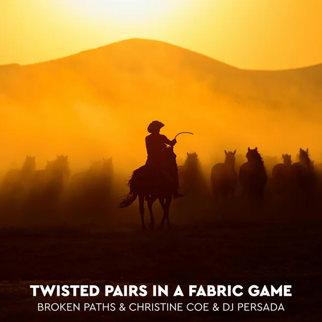 Twisted Pairs In A Fabric Game