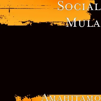 Amahitamo by Social Mula