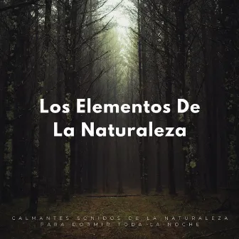 Los Elementos De La Naturaleza: Calmantes Sonidos De La Naturaleza Para Dormir Toda La Noche by Musicoterapia para el Sueño Profundo