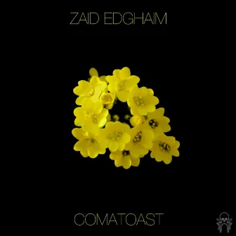 Comatoast EP by Zaid Edghaim