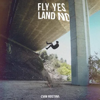 Fly Yes, Land No by Cam Rostami