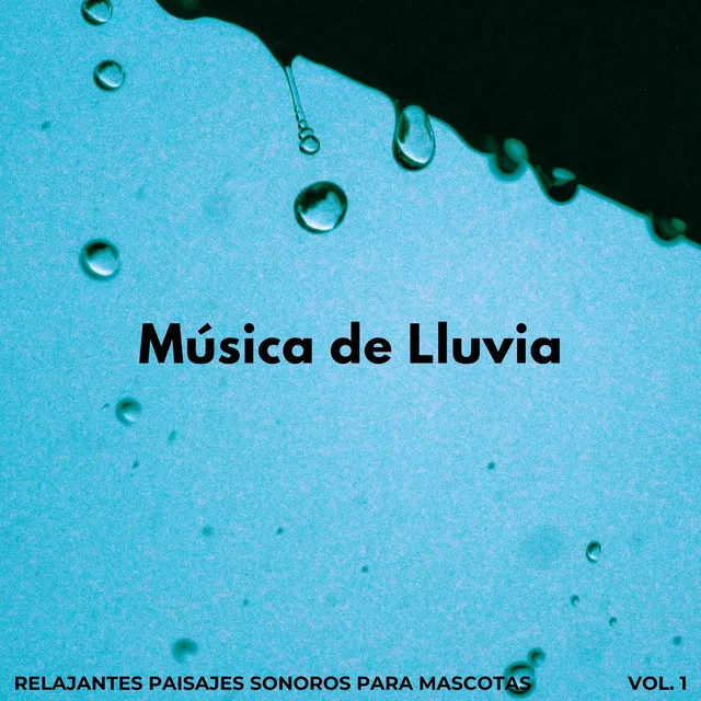 Música De Lluvia: Relajantes Paisajes Sonoros Para Mascotas Vol. 1