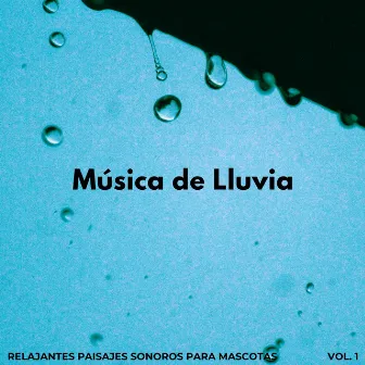 Música De Lluvia: Relajantes Paisajes Sonoros Para Mascotas Vol. 1 by Experiencia de sonido de lluvia