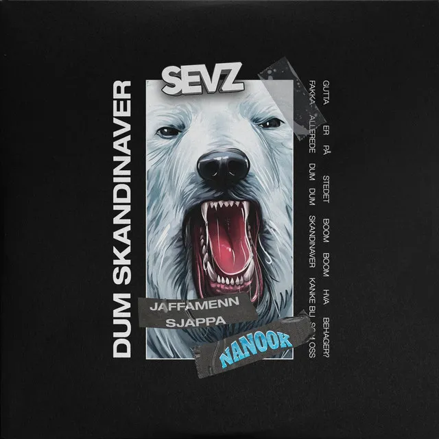 Dum Skandinaver (Nanook 2024)