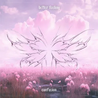 Better Feeling by Confusion