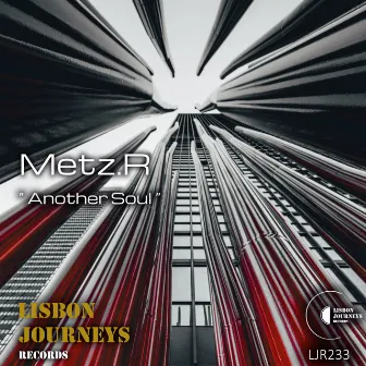 Another Soul by Metz.R