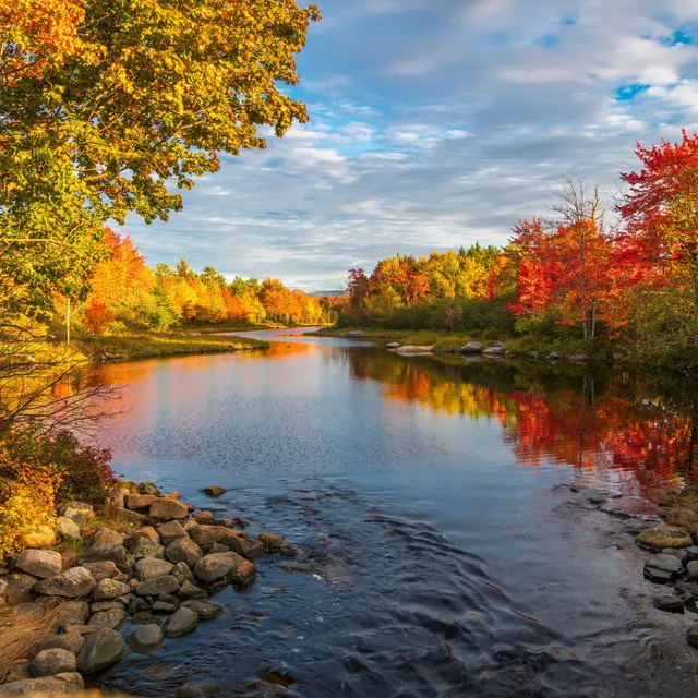 Flow of Serene Waters