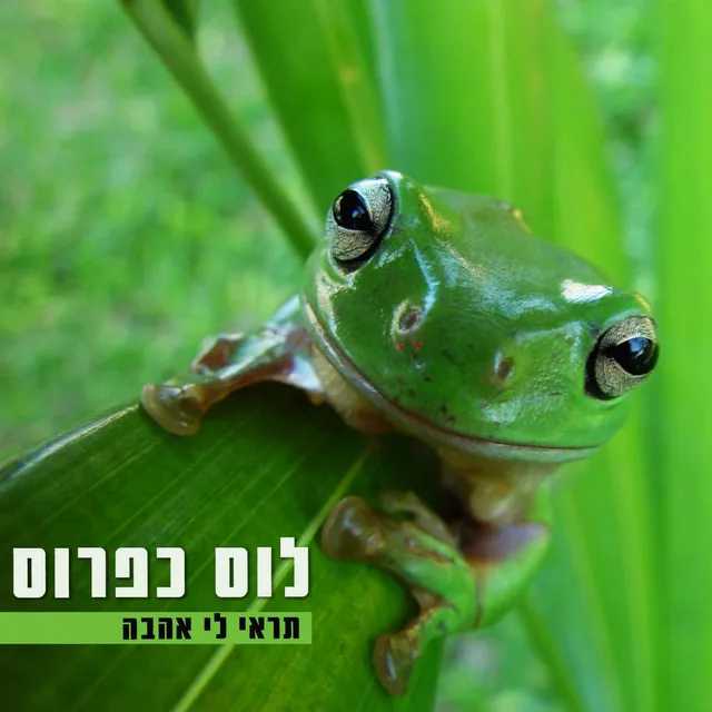 תראי לי אהבה