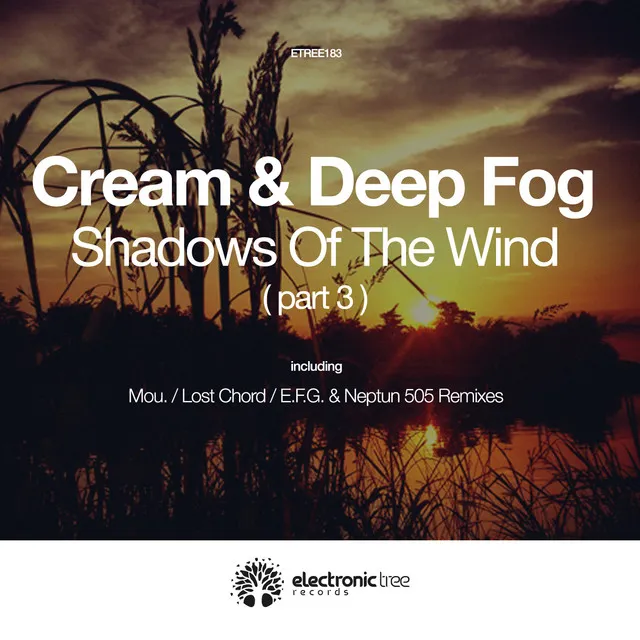 Shadows of the Wind - E.F.G. & Neptun 505 Remix