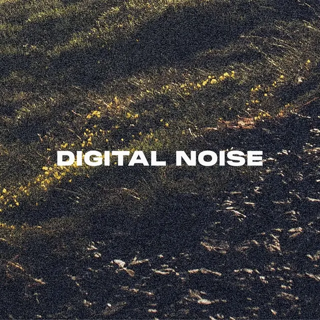 DIGITAL NOISE