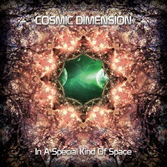 In A Special Kind Of Space by Cosmic Dimension