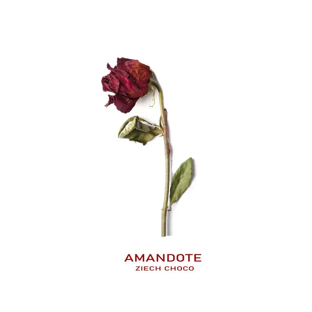 Amándote