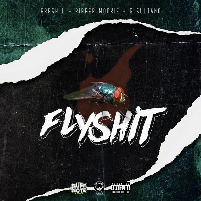 Flyshit