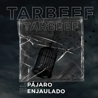 El Pájaro Enjaulado by Tarbeef