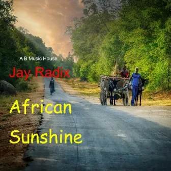 African Sunshine by Jay Radix