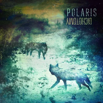 Dichotomy by Polaris