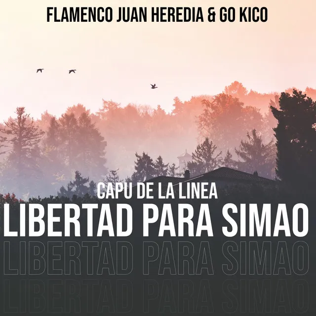 Libertad para Simao