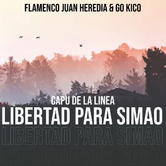 Libertad para Simao by Capu De La Linea