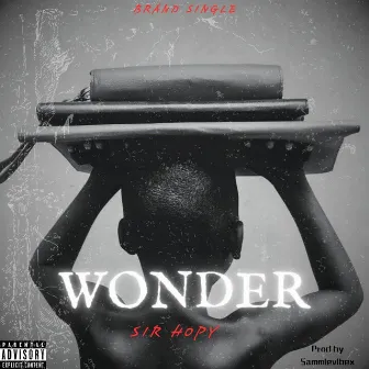 Wonder by Sir hopy