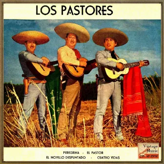 Peregrina by Trio Los Pastores